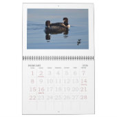 Rideauの水潜り鳥 カレンダー (2月 2026)