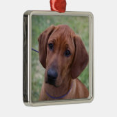 Ridgebackの子犬 メタルオーナメント (右)