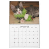 ridiculousnessの年 カレンダー (2月 2026)