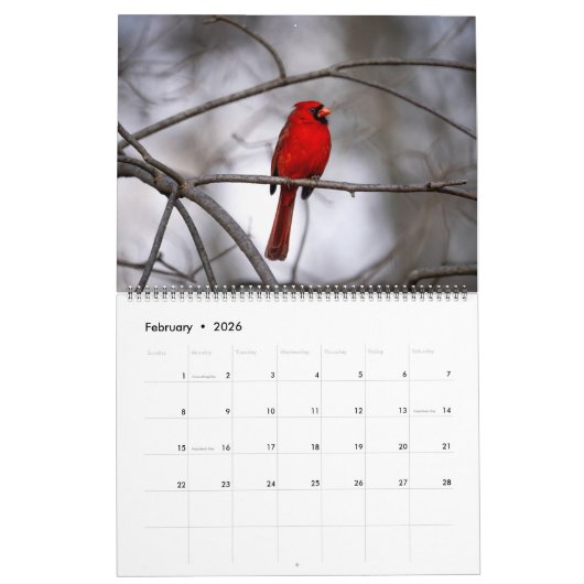 Ridley's Reflections 2026 Calendar カレンダー (2月 2026)