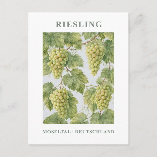 Riesling Mosel Vintage Green Floral ポストカード (正面)