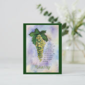 Riesling White Wine Grapes Postcard ポストカード (スタンド正面)