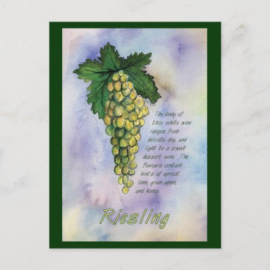 Riesling White Wine Grapes Postcard ポストカード (正面)