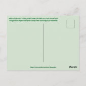 Rifle Falls State Park ポストカード (裏面)