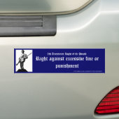 Right against excessive fine or punishment バンパーステッカー (車上)