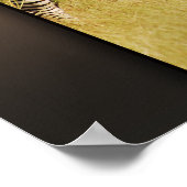 Right at You - zebras safari wild ポスター (角)