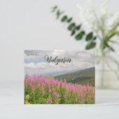 Rila Mountains and Pink Flowers in Bulgaria ポストカード (スタンド正面)