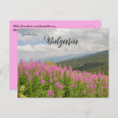 Rila Mountains and Pink Flowers in Bulgaria ポストカード (正面/裏面)
