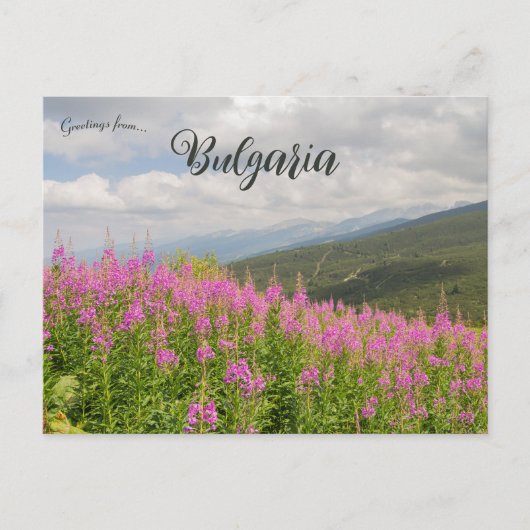 Rila Mountains and Pink Flowers in Bulgaria ポストカード (正面)