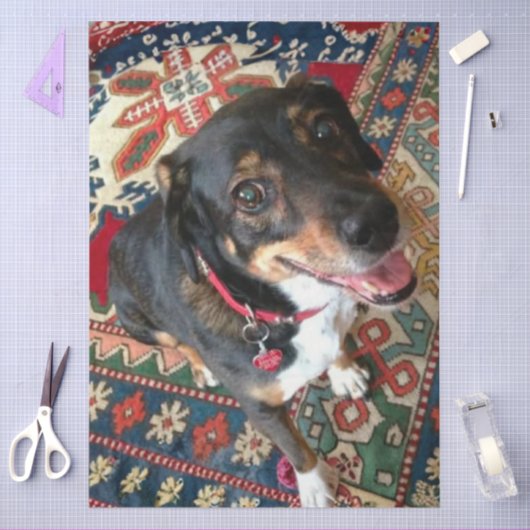 Riley 2 薄葉紙 (クラフト)