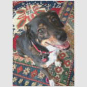 Riley 2 薄葉紙 (正面)