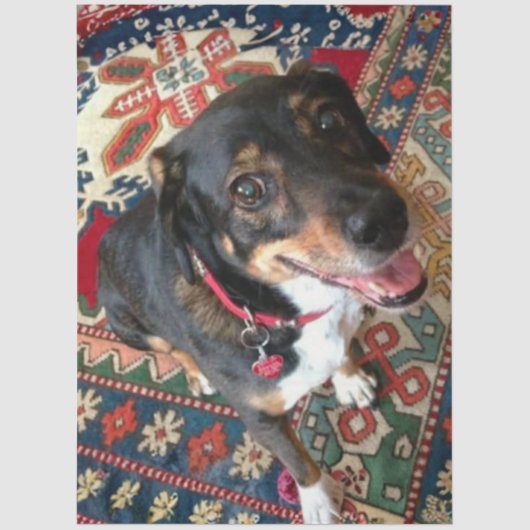 Riley 2 薄葉紙 (正面)