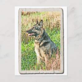 Rin Tin Tinトリビュートポストカード ポストカード