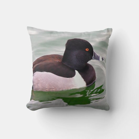 Ring Necked Duck クッション (正面)