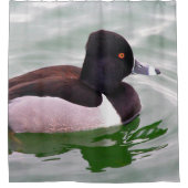 Ring Necked Duck シャワーカーテン (正面)