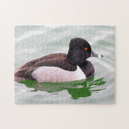 Ring Necked Duck ジグソーパズル