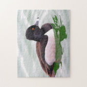 Ring Necked Duck ジグソーパズル (縦)