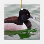 Ring Necked Duck セラミックオーナメント (裏面)