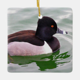 Ring Necked Duck セラミックオーナメント