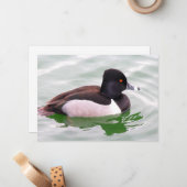 Ring Necked Duck ノートカード (正面/裏面インサイチュ)
