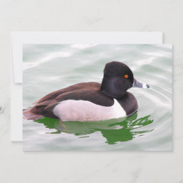 Ring Necked Duck ノートカード