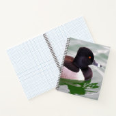 Ring Necked Duck ノートブック (内部)