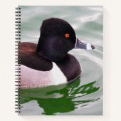 Ring Necked Duck ノートブック (正面)