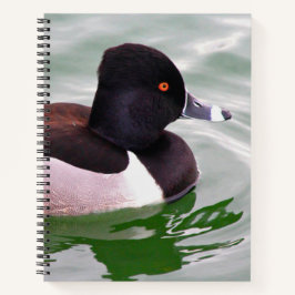 Ring Necked Duck ノートブック