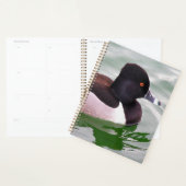 Ring Necked Duck プランナー手帳 (ディスプレー)