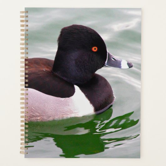 Ring Necked Duck プランナー手帳 (正面)
