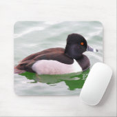 Ring Necked Duck マウスパッド (マウス)