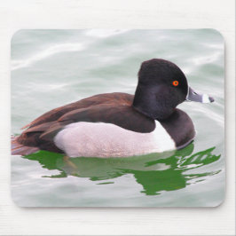 Ring Necked Duck マウスパッド