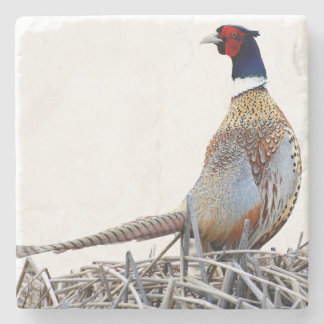 Ring-necked Pheasant Photo Stone Trivet ストーンコースター