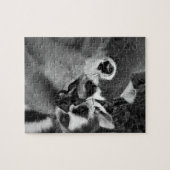 Ring tailed lemur couple eating watermelon ジグソーパズル (横)