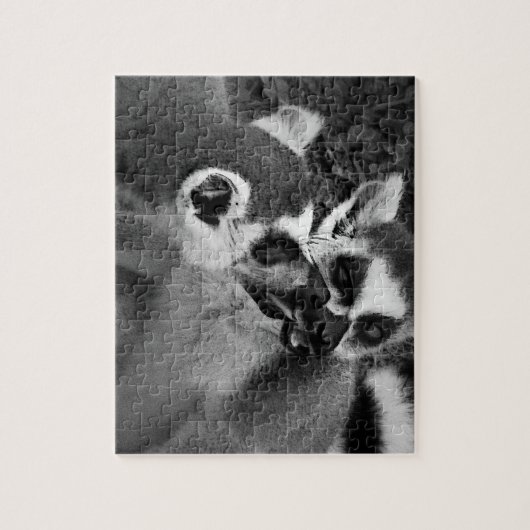 Ring tailed lemur couple eating watermelon ジグソーパズル (縦)