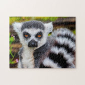 Ring Tailed Lemur, Jigsaw Puzzle ジグソーパズル (横)