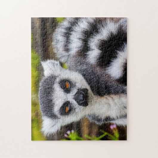 Ring Tailed Lemur, Jigsaw Puzzle ジグソーパズル (縦)