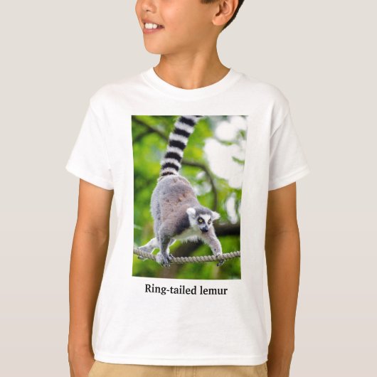 Ring-tailed lemur tシャツ (正面)