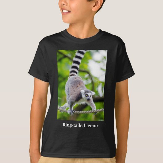 Ring-tailed lemur tシャツ (正面)