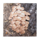 ringless蜂蜜きのこ タイル (正面)