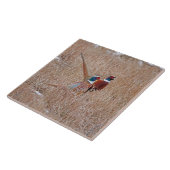 Ringneckのキジのタイル-大きい6" x 6" タイル (側面)
