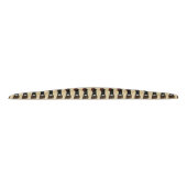 Ringneckのキジの頭部 タイヘッドバンド (正面)