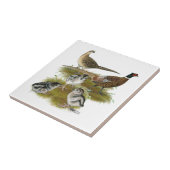 Ringneckのキジ家族 タイル (側面)