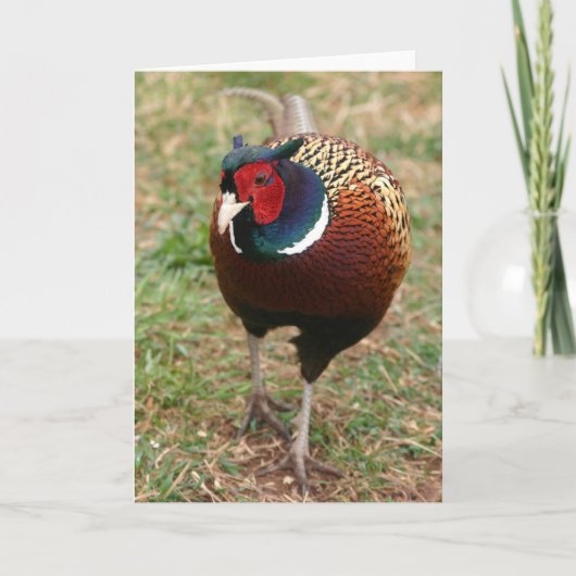 Ringneck Pheasant Notecard 2 カード (正面)