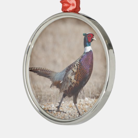 Ringneckedのキジ メタルオーナメント (左)