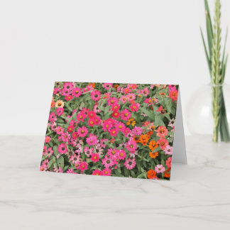 Riotiousのピンク カード