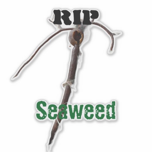 RIP Seaweed Custom-Cut Vinyl Sticker シール (正面)