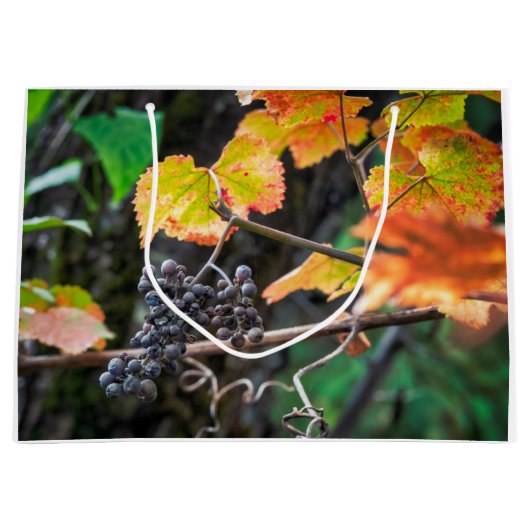 Ripe Isabella grape ラージペーパーバッグ (正面)