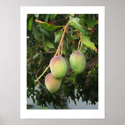 Ripening ポスター (正面)