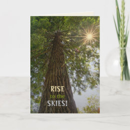 RISE感動的 Photo of a Tree to the Sky カード